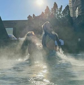 Meet your Posher, Lala